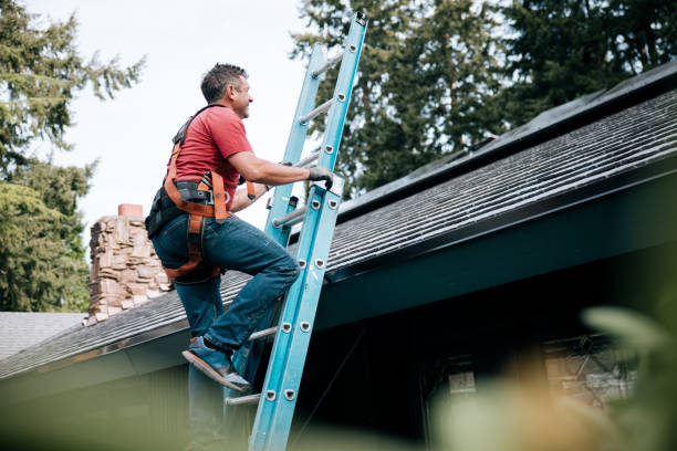 Best Roof Moss and Algae Removal  in Chualar, CA